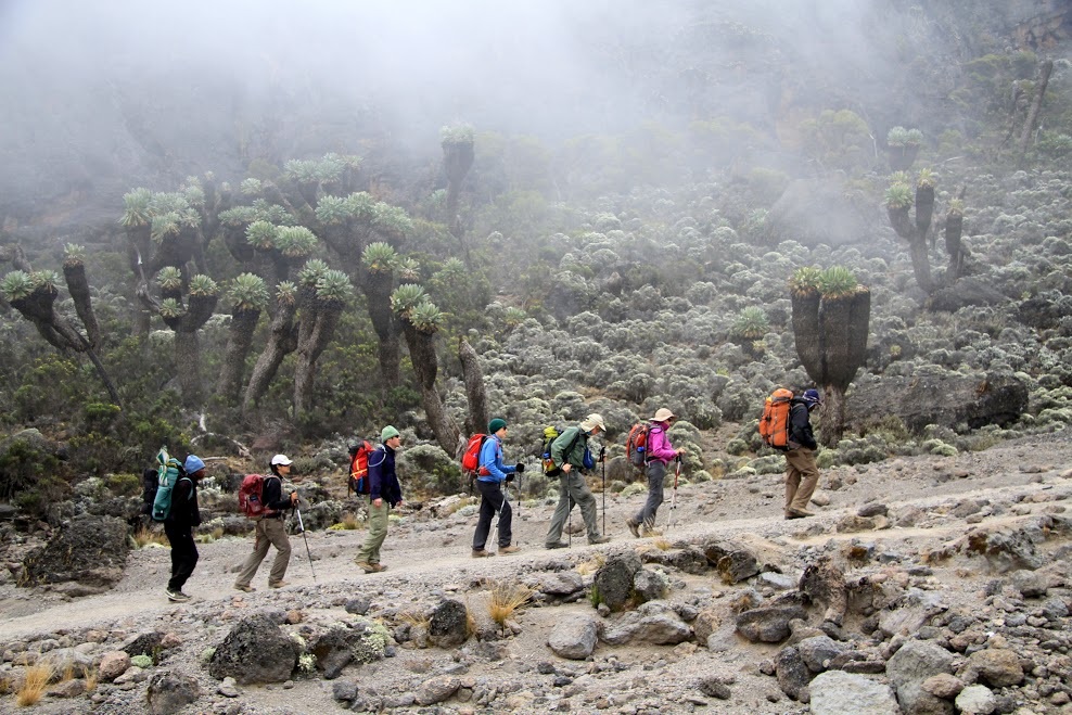 Best Time to Climb Kilimanjaro