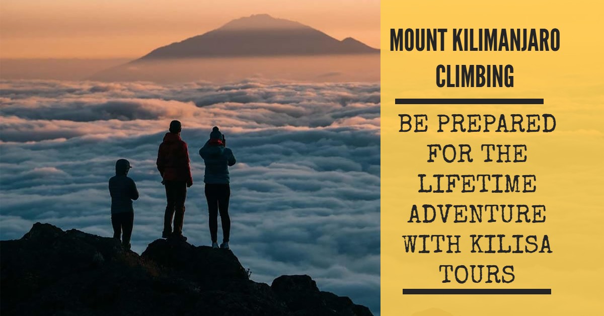 Mount Kilimanjaro Climbing